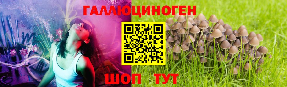 Воркута  Псилоцибиновые грибы Magic Shrooms  Вход с VPN 